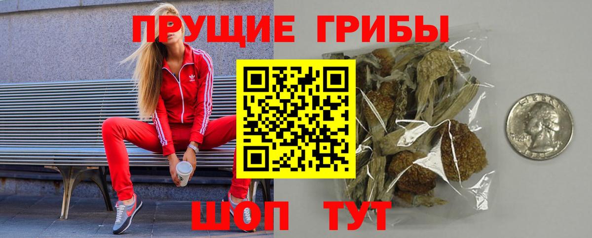 Дзержинск  цены   Вход с VPN  Галлюциногенные грибы Psilocybe 